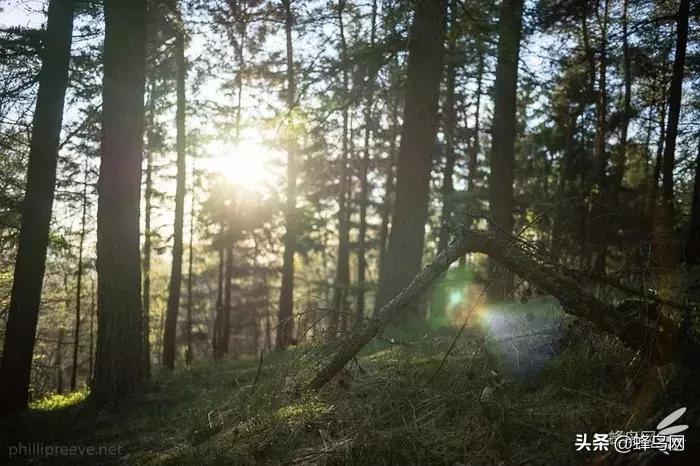 那些惊艳众人的封神镜头,小众广角镜头排行榜