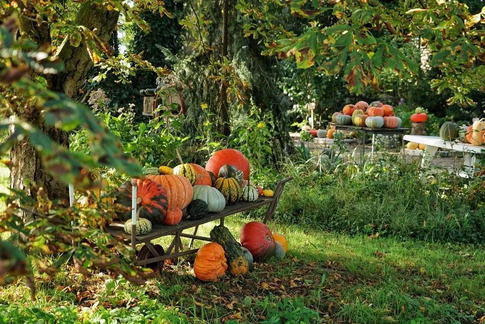 荷兰人身体素质,荷兰人素质怎么样