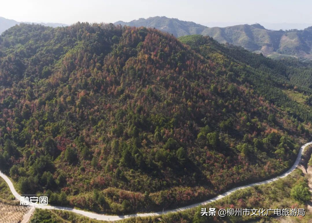 融安风景最好看的地方,融安十大游玩景点