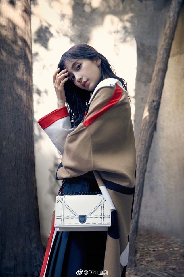 杨颖同款dior包尺寸,angelababy有哪些迪奥的包包