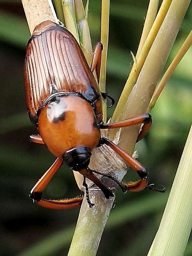 带你寻找记忆中的童年,我的童年既是怎样的又是怎样的