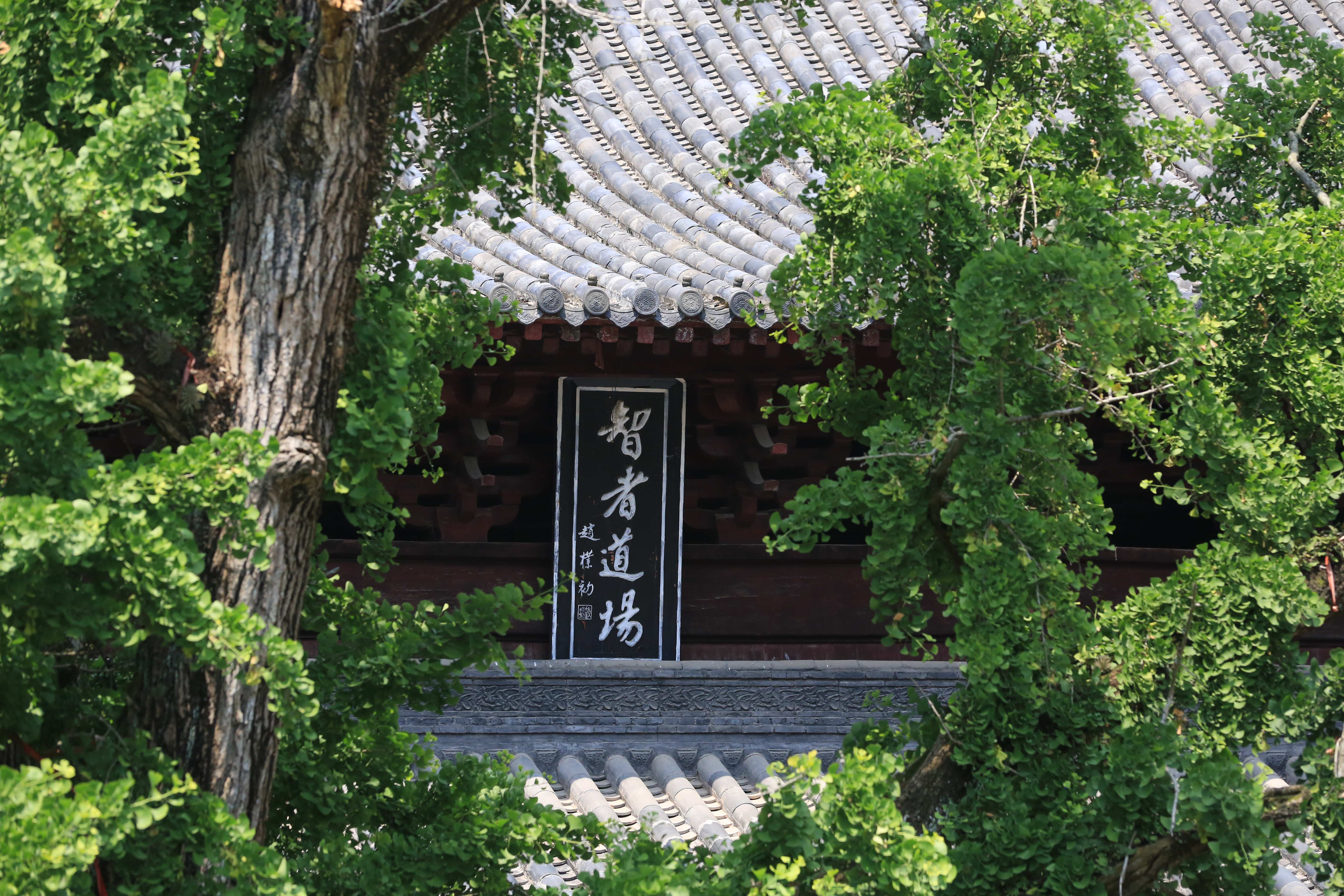 玉泉寺关公显圣,关公玉泉山显圣神像