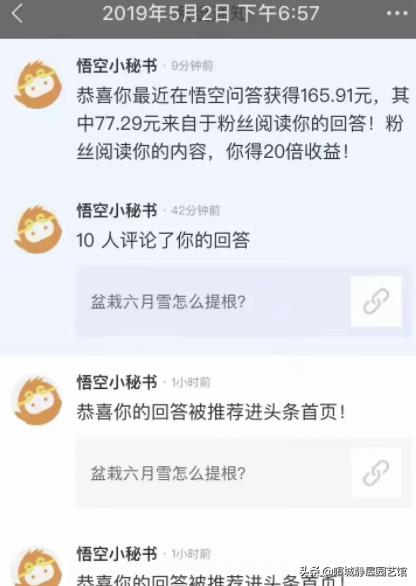 悟空问答怎么回答才能赚钱,悟空问答回答多少个问题才有收益