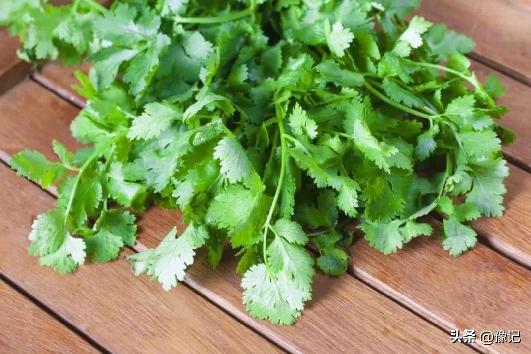 在闽南客家的中原情结为啥这样浓,闽南人的思乡情结