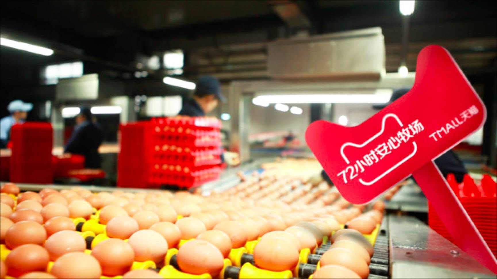 天猫超市不满88也免邮,天猫超市免邮教程