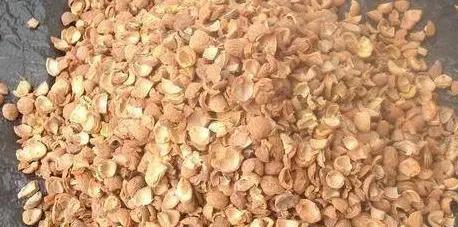 盆栽植物该如何预防积水烂根？用上防堵塞，花根越长越旺盛