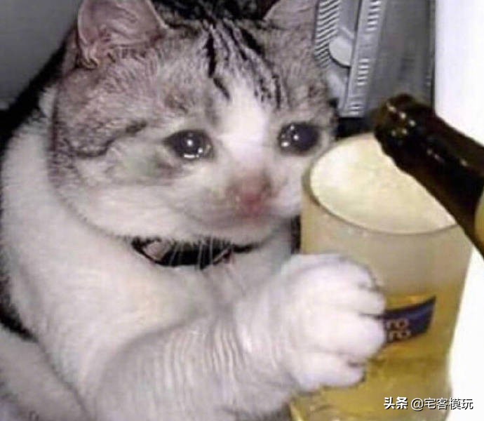 78官测万代mg巴巴托斯第四形态,万代sdcs真盖塔