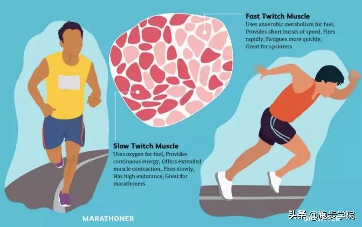 想要跑得快要练哪块肌肉,如何跑得更快基础训练