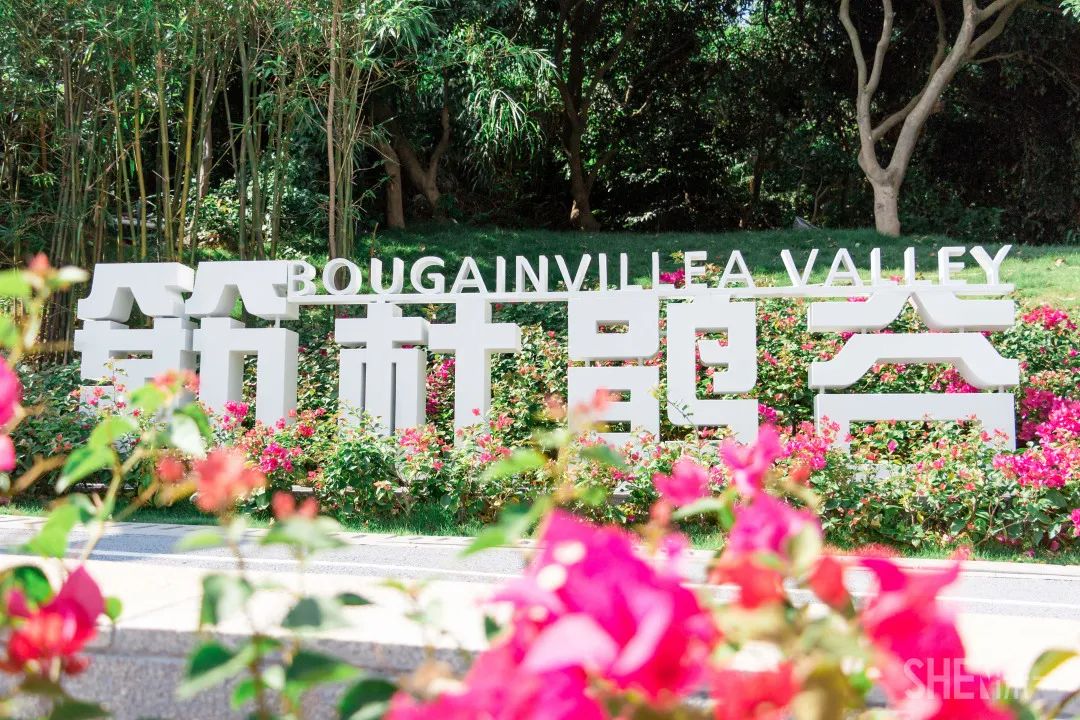 疫情期间免费开放的公园,疫情期间开放的公园有哪些