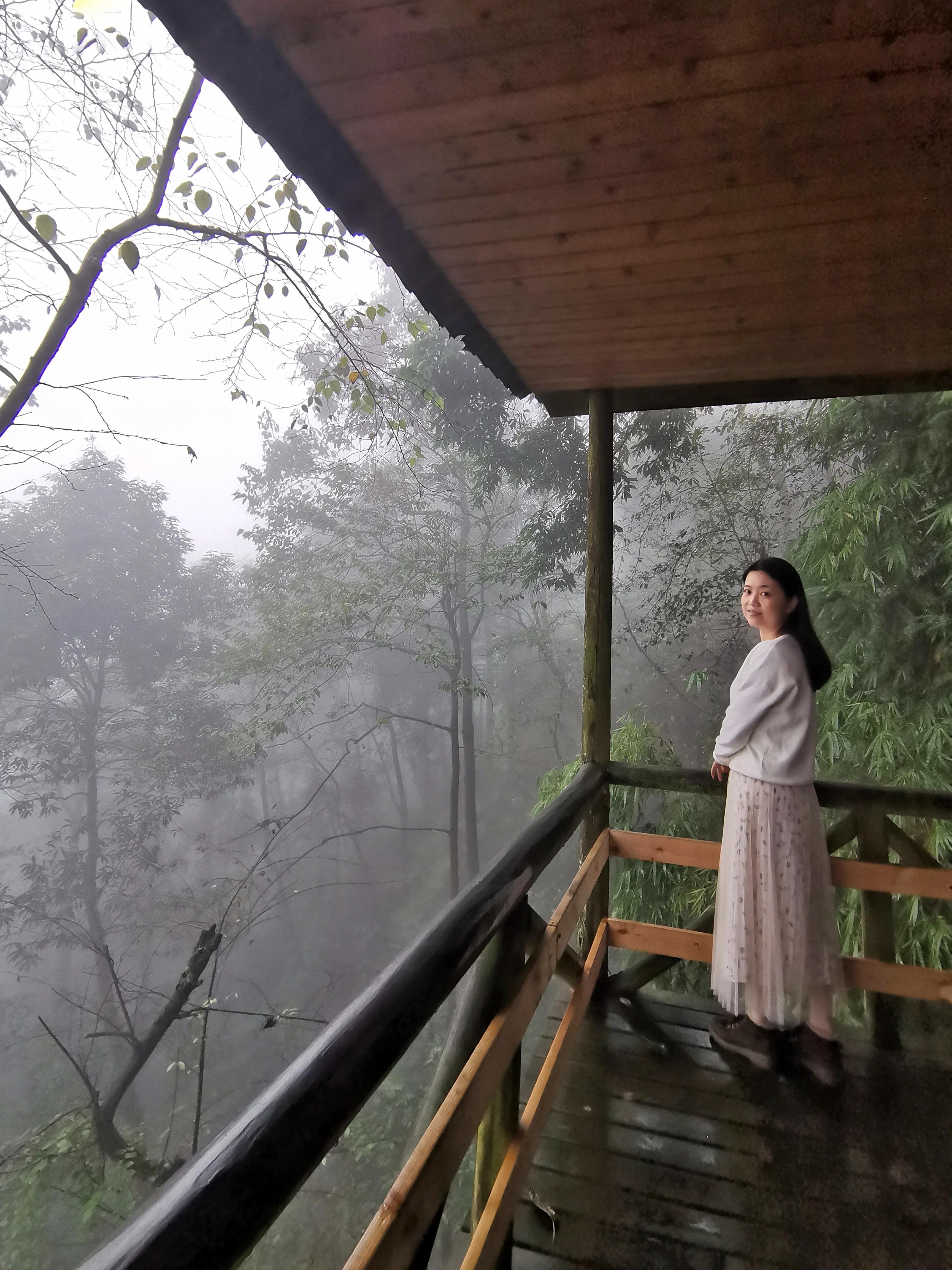 铜梁巴岳山森林木屋,巴岳山树屋