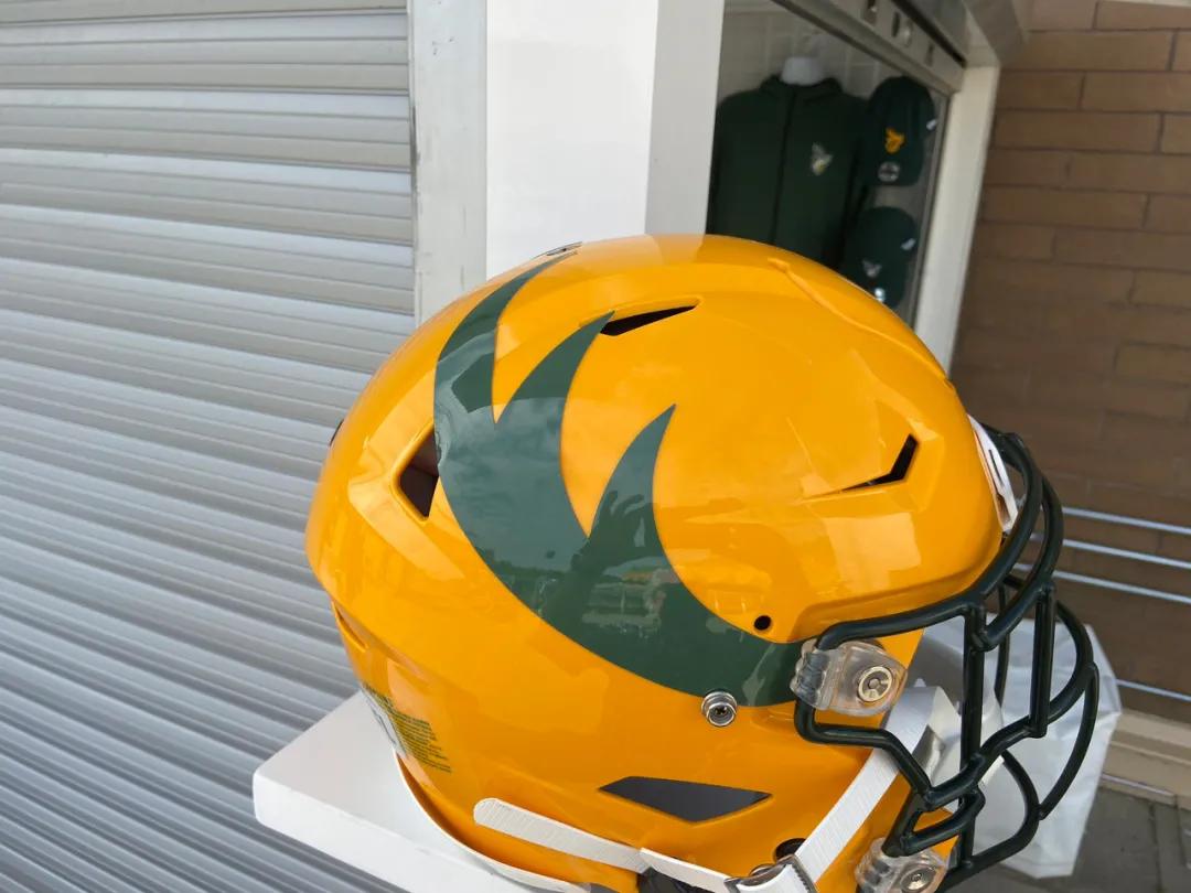 加拿大军队logo,加拿大足球队队旗