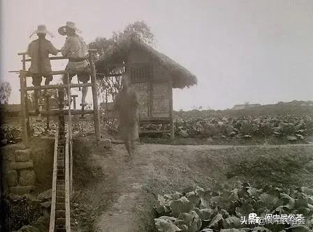 先农坛现在有吗,先农坛属于什么建筑