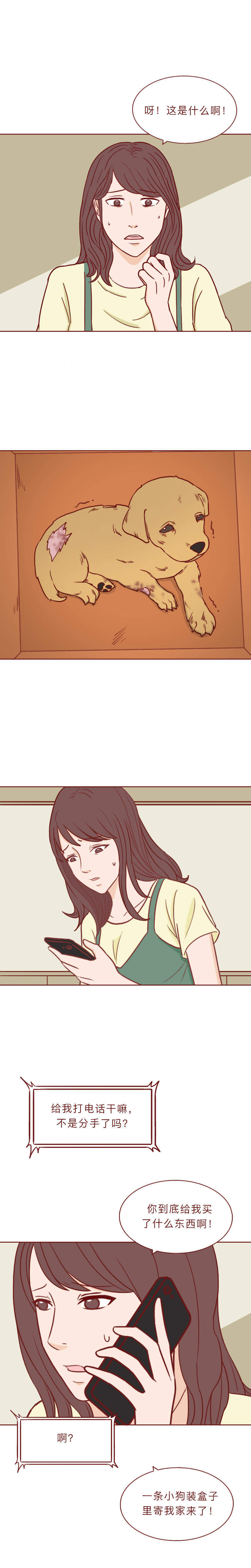 最低9.9，他们被装进盲盒当商品贩卖，漫画揭秘动物盲盒