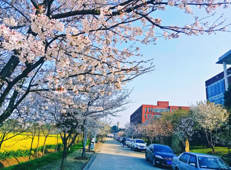 武汉外语外事职业学院手册,武汉外语外事职业学院官网是什么