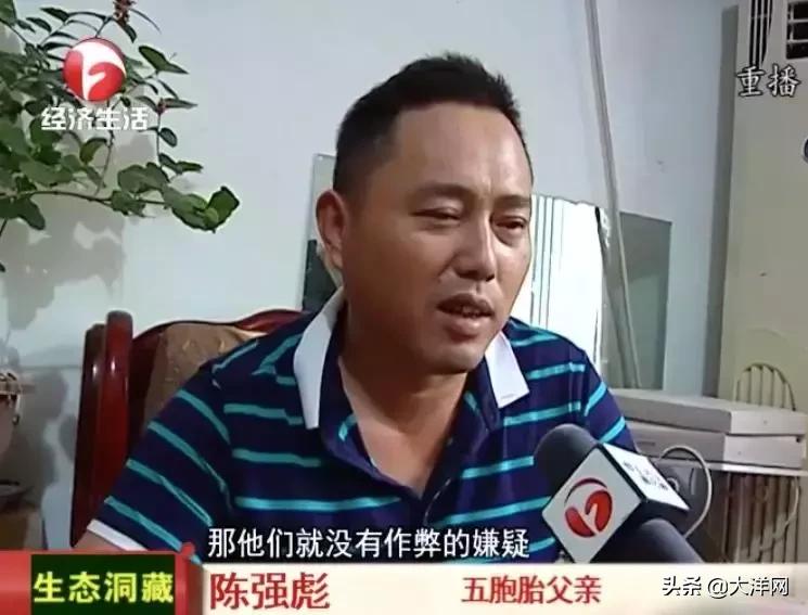 爸爸要求五胞胎分到5个班,爸爸为作业不同意让五胞胎分班