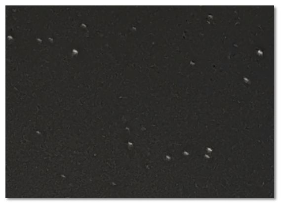 星轨iphone11可以拍吗,iphone可以拍出星轨吗