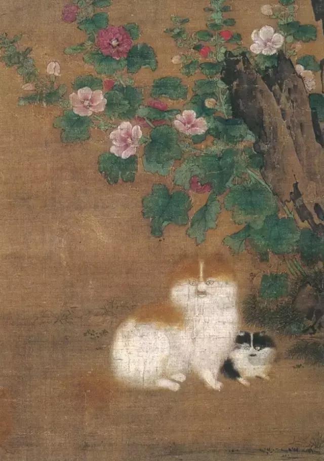 故宫十大御猫小崽儿,历史上真实的故宫御猫