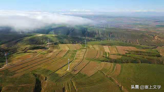 张炜散文原文,张炜散文奔腾