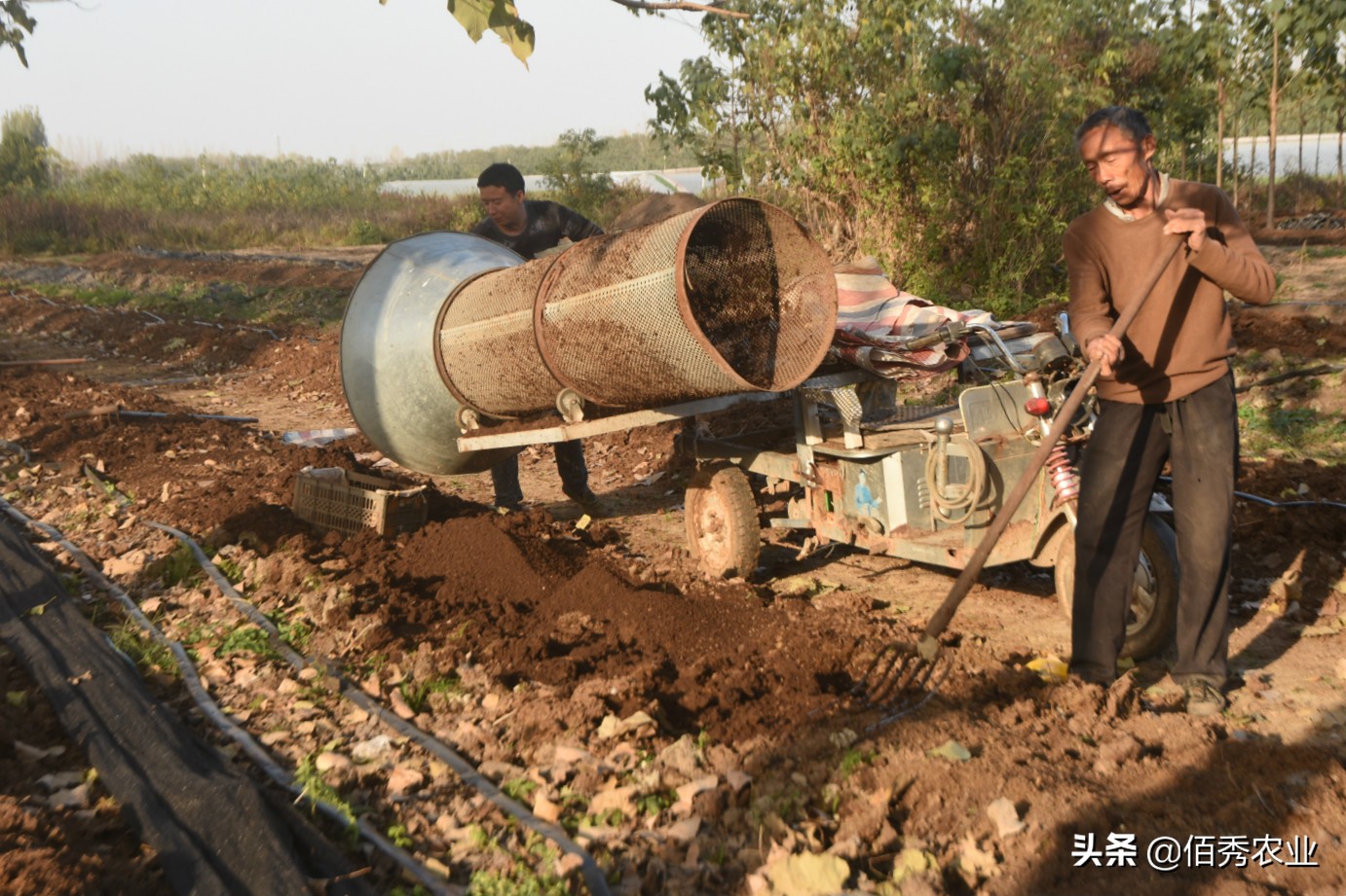 农村5类特色养殖,农村养殖哪种模式最靠谱