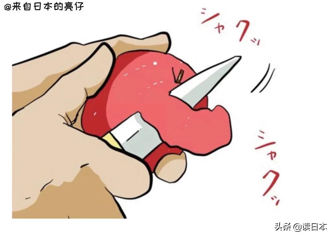 亮仔小哥,日本小哥亮仔长什么样