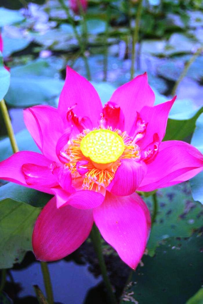 励志人生感悟正能量句子经典,正能量励志激情经典语录