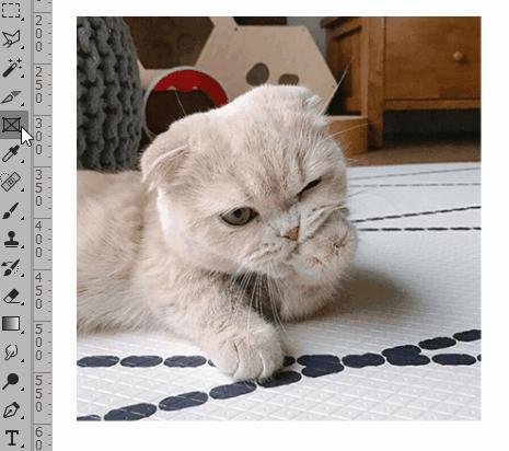 常见的选区工具有哪些,选区工具哪个最好用