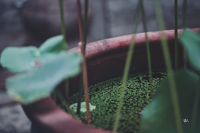 心中有桃花源何处都是山水间,心中若有桃花源何处是水云间
