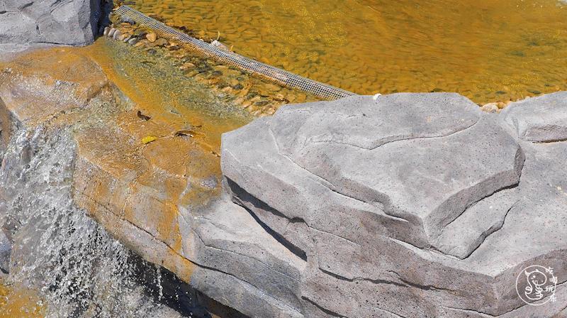 深圳樱花专列,深圳蛇口樱花列车