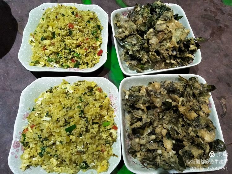 太行一家亲以前的视频,太行一家人最新的视频