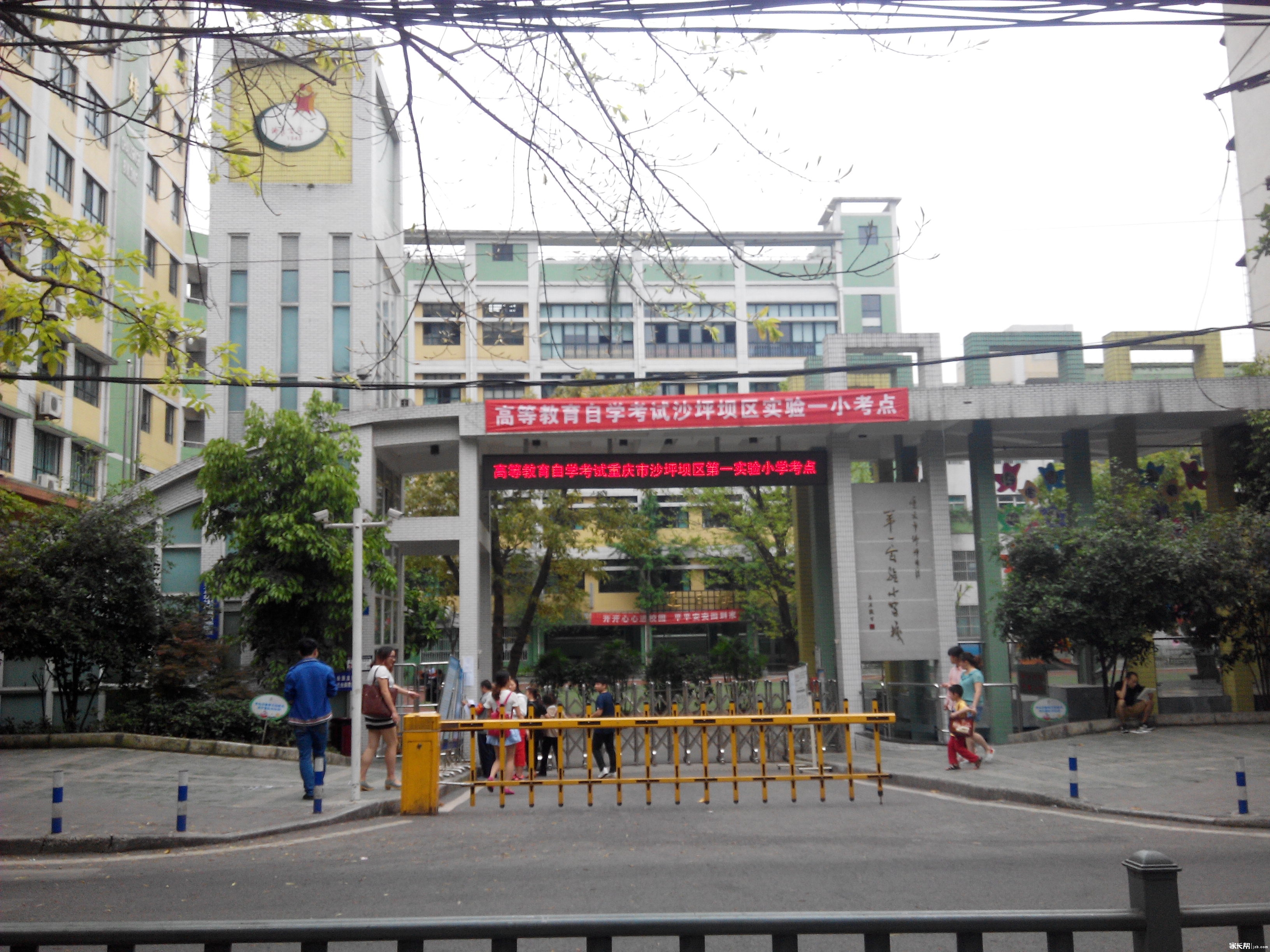 沙坪坝区名校,重庆市沙坪坝区口碑好的小学排名