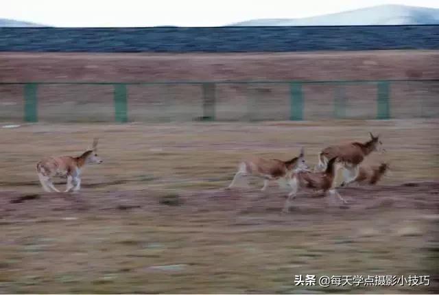 拍照如何拍出模糊感,拍照模糊的技巧