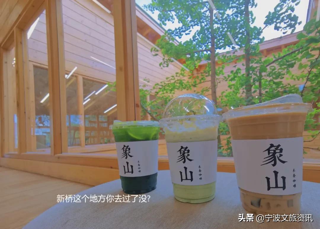 新桥玩的地方,新桥有哪些可以游玩的地点