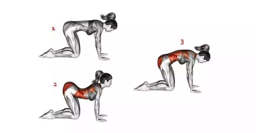 背部肩胛骨疼痛缓解运动方法,心后区背部疼痛怎么快速缓解