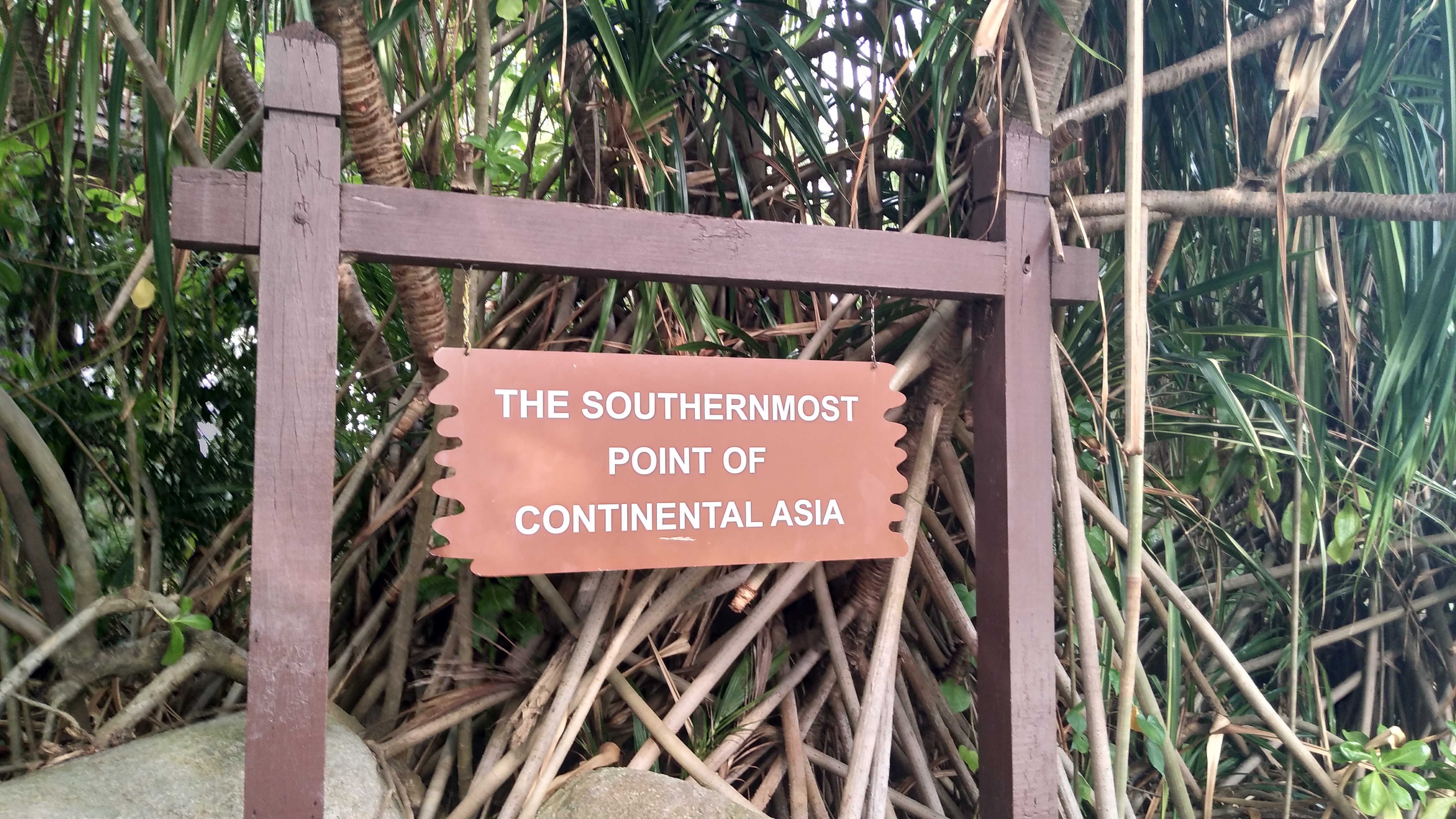 漫谈新加坡,深度解析新加坡