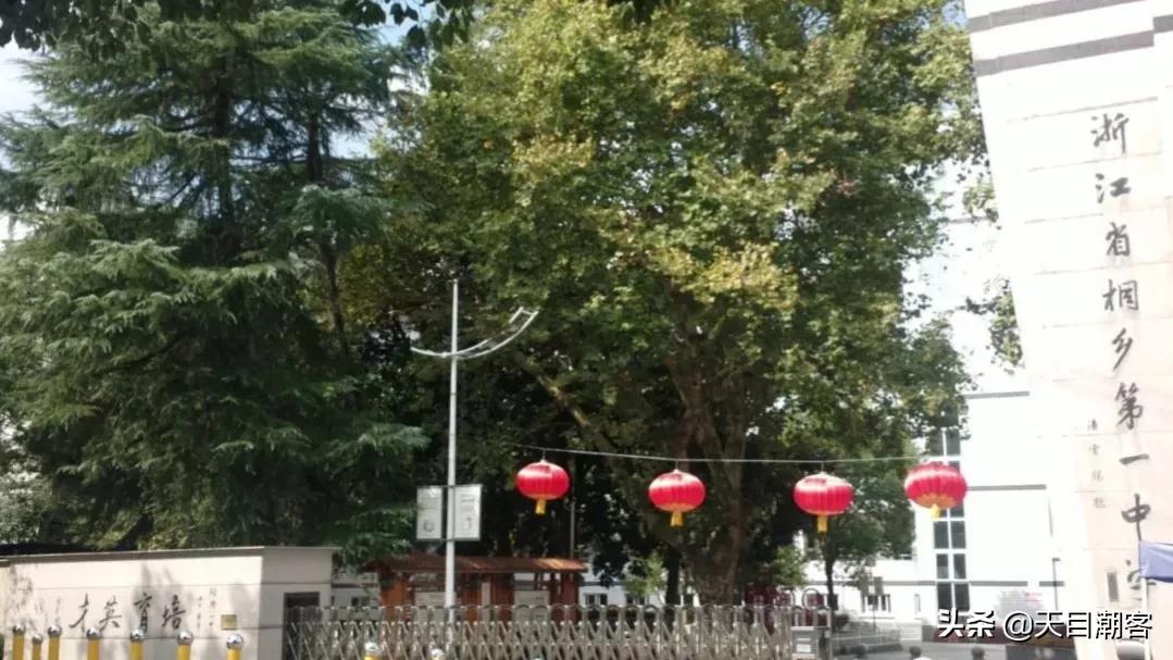 浙江孔庙调查|茅盾故里钩沉:桐乡拆儒宫取良材换钢材造大会堂