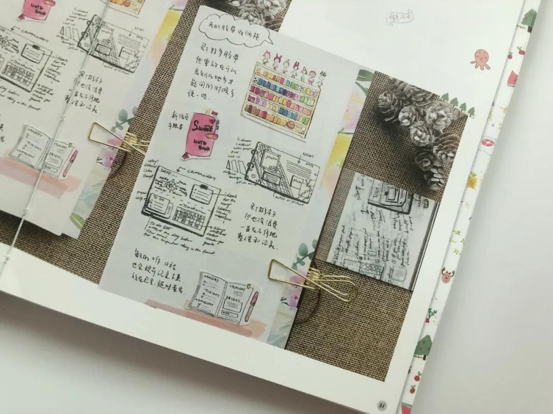 萌新手帐入坑,手帐萌新入坑应该买什么本