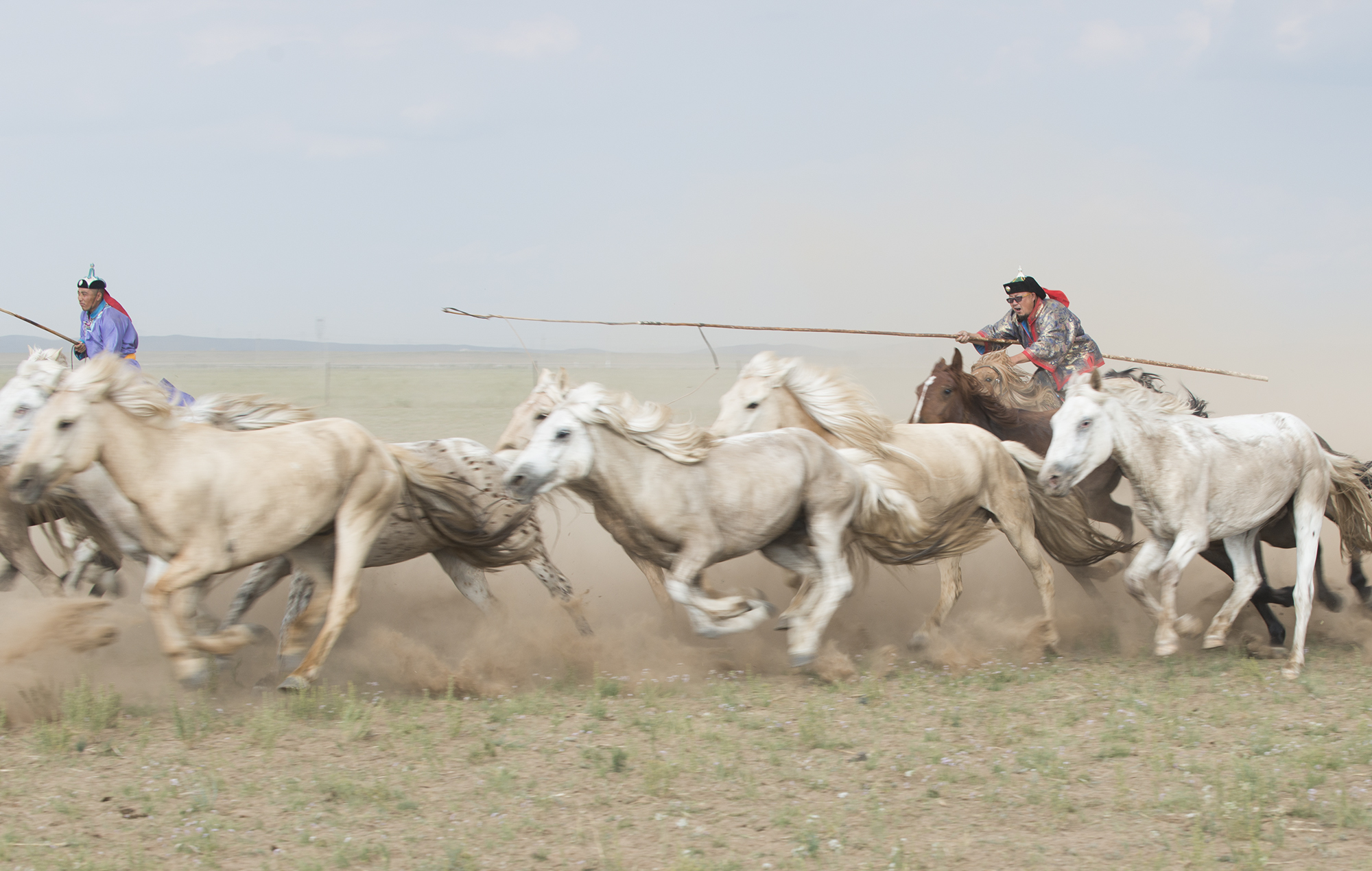 蒙古族传统体育之赛马,蒙古族传统体育项目博克