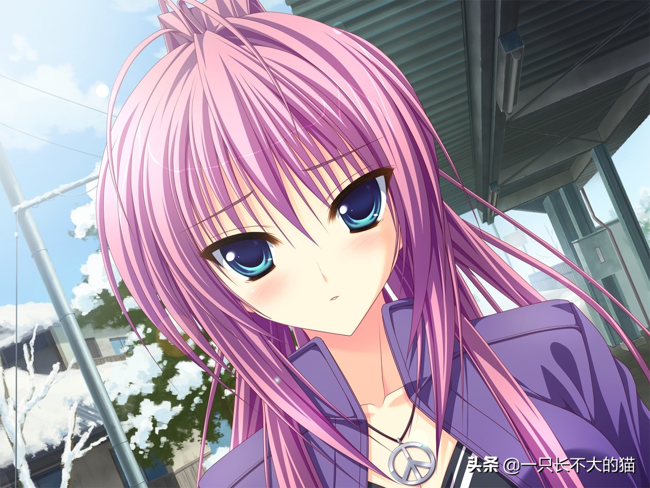 好看的少女动漫推荐日漫,推荐御姐动漫