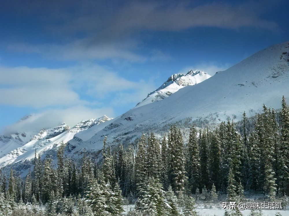 从物种起源到生物多样性,从起源到分类