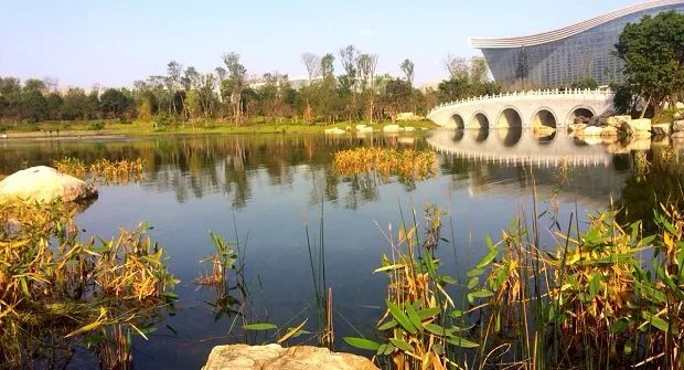 成都三大富人区,成都6大富人区曝光