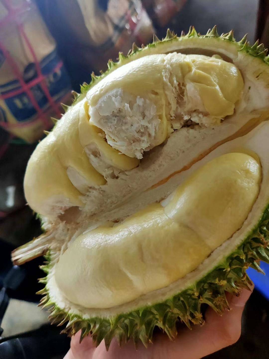 榴莲猫山王和金枕哪个核大,干尧榴莲跟金枕榴莲猫山王