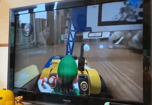 玩《马力欧卡丁车实况：家庭赛车场》前，你问过你家猫咪了吗？