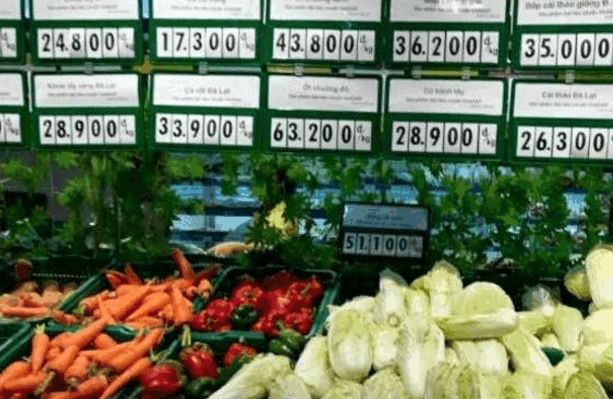 越南物价和中国农村物价,越南平均物价