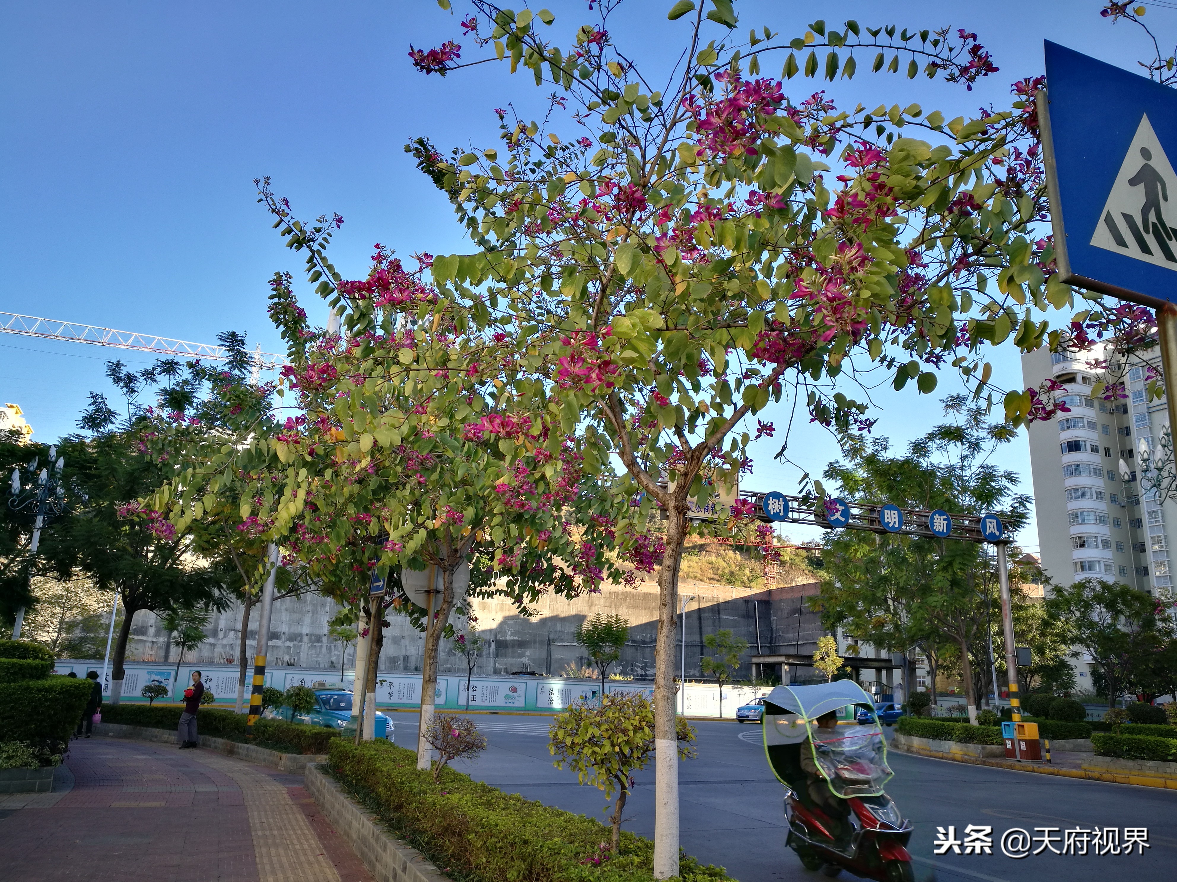 县城小景的视频,攀枝花盐边县全景