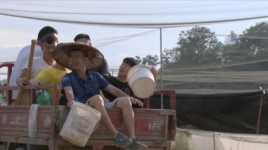 90后小伙养殖青蛙,农村创业致富养蛙