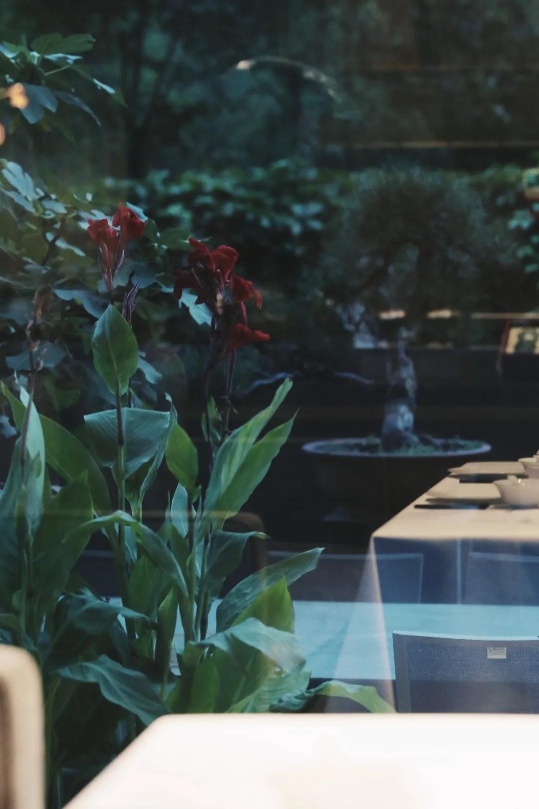 用三年时间雕琢洛河边上的西湖味道，劳斯莱斯级别的美食享受