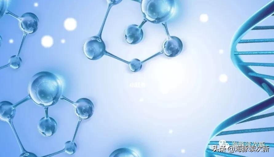 圣诺和swisse哪个牌好,圣诺生物与诺泰生物谁强