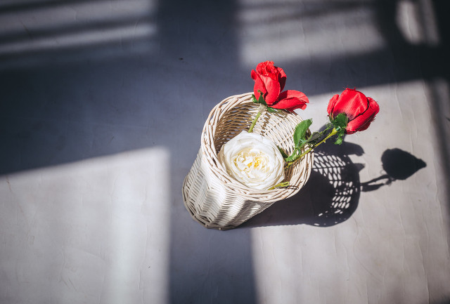 涓生和子君是爱情吗,涓生是哪个书里的人物