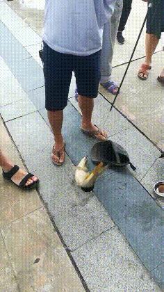 把车标全部抠掉违法吗,把车标抠下来清灰