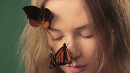 王菲谢霆锋飞机上撒狗粮全程牵手,谢霆锋王菲时隔21年再现世纪牵手